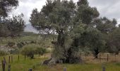 Tocht Stappen Κοινότητα Μορονίου - Balade à Panagia (Rother n°45) - Photo 18