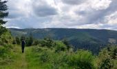 Trail Walking Sainte-Marie-aux-Mines - 2020-06-20 Marche Tete du Violu Col de Ste Marie - Photo 7