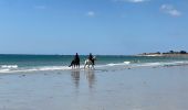 Excursión Carrera Fouesnant - Des dunes à la mer blanche - Photo 16