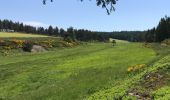 Tour Wandern Saint-Flour-de-Mercoire - L’Herm Notre dame des neiges - Photo 7