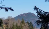 Tour Wandern Vorbruck - Etang du Coucou - Château de Salm - Chatte pendue - Haute Loge - Chapelle Bipierre - Photo 11