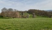 Trail Walking Oupeye - promenade au pays des macrales - Photo 3