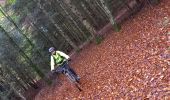 Tour Elektrofahrrad Saint-Clément - sortie vtt 01112023 deneuvre - Photo 6