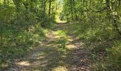 Randonnée Marche Buno-Bonnevaux - Buno-Bonneveaux - Polissoir de Grimery - Photo 12