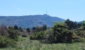 Tocht Stappen La Vacquerie-et-Saint-Martin-de-Castries - La Vacquerie St Guilhem  - Photo 7