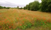 Tour Wandern Saint-Georges-sur-Cher - Saint-Georges-sur-Cher - les Magasins la Vallée Pitrou la Poterie - 6.8km 80m 1h40 - 2020 06 21 - Photo 1