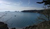 Trail Walking Cancale - 2024-03-20 boucle pointe de grouin Cancale  - Photo 4