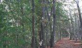 Tocht Stappen Riemst - autour de Kanne via montagne St Pierre et les vignes - Photo 20