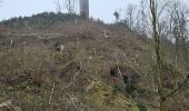 Tour Wandern Malmedy - Bévercé- vallée de la Warchenne - Chôdes  - Photo 11