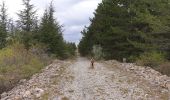 Trail Walking Villeneuve-de-Berg - la forêt des sens Villeneuve de Berg  - Photo 4