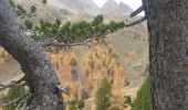 Trail Walking Névache - drayeres - Photo 5
