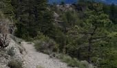 Trail Walking Die - Col de Bergu  - Photo 5