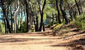 Tocht Stappen Beaurecueil - SityTrail - 3632225 - le-tour-des-trois-barrages - Photo 11