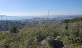 Tour Wandern Frontignan - Balcon de Thau (variante) - Photo 2