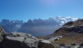 Tocht Stappen Chamonix-Mont-Blanc - Les aiguilles Rouges Chamonix Argentière  - Photo 1