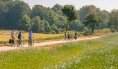 Randonnée Marche Hautot-sur-Mer - La route du lin - Photo 1