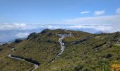 Trail Walking Ilha - PR1 Pico Ruivo - Photo 1
