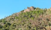 Trail Walking Roquebrune-sur-Argens - Pierre du coucou - Photo 1