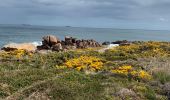 Tour Wandern Perros-Guirec - Perros guirrec 1 - Photo 9