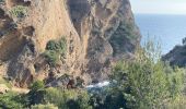 Tour Wandern Cassis - Crêtes de la Ciotat  - Photo 13