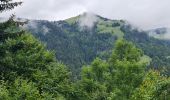 Randonnée Marche La Clusaz - Les Converses, Les Étages, Crêt du Merle, Les Tollets, Les Converses  - Photo 10