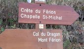 Tocht Stappen Levens - 2021- Trace du Mont Férion - Photo 2