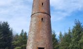 Trail Walking Reinhardsmunster - Reinhardsmunster - château Ochsenstein - tour du Brotsch - Photo 17