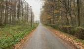 Trail Walking Silly - Gondregnies - bois de la Provision - Fouleng - Photo 9