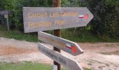 Trail On foot Roaillan - Les Gemeys : circuit départemental - Photo 1
