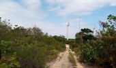 Tocht Stappen Saint-François - Anse à la Baie - Morne Caraïbe - Photo 3