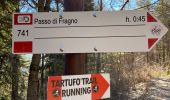 Trail On foot Calestano - Percorso 772 - Monte Castellaro - Jano - Percorso 772 - Photo 8