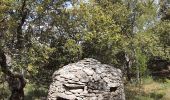 Randonnée Marche Saumane-de-Vaucluse - autour de Saumane  - Photo 8