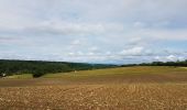 Trail Bicycle tourism Vaulx-Milieu - Vaulx-Milieu - Hauterives - Photo 4