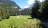 Randonnée Marche Samoëns - Samoens . gorges des tines - retour  - Photo 12