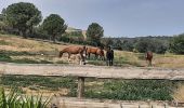 Trail Walking Sainte-Colombe-de-la-Commanderie - source de la Basse - Photo 1