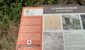 Tour Wandern Le Brusquet - LE BRUSQUET  .Le tour des Blaches n - Photo 6