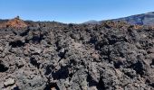 Tocht Stappen Sainte-Rose - Piton de la Fournaise (cratère Dolomieu) - Piton Partage - Photo 3