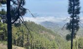 Tour Wandern Tejeda - Cuevas del Caballero (Gran Canaria) - Photo 8