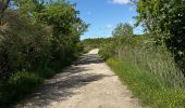 Tocht Noords wandelen Soulac-sur-Mer - Gr81 de Soulac à St Vivien - Photo 4