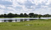 Tour Wandern Eijsden-Margraten - 20240523 - Balade ornithologique Oost Maarland - 2.2 Km - Photo 15