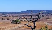 Tocht Stappen Boutenac - Boutenac rando du 6 decembre - Photo 1