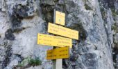 Trail Walking Saint-Laurent-du-Pont - Rocher de Pertuis  - Photo 2