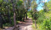 Tour Wandern Saint-Bonnet-du-Gard - mon 8 du pont du Gard  - Photo 19