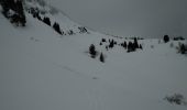 Trail Touring skiing Bellevaux - COMBE SUSPENDUE - Photo 5
