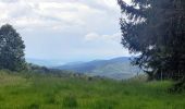 Tour Wandern Markirch - 2020-06-20 Marche Tete du Violu Col de Ste Marie - Photo 13