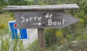 Trail Walking Saint-André-de-Rosans - SAINT ANDRE DE ROSANS - SERRE DE BOUT - Photo 2