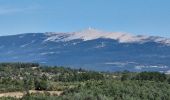 Tour Wandern Saint-Saturnin-lès-Apt - les aigiuer - Photo 4