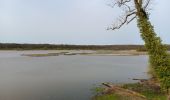 Randonnée Marche Chimay - tour du lac de virelle - Photo 2