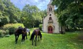 Trail Horseback riding Vigy - 2024-07-18_100557.gpx - Photo 13