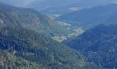 Trail Walking Mittlach - Mittlach Crête Steiwasen - Photo 5